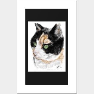 Black and white cat with green eyes Posters and Art